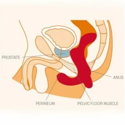 Fun Factory The Duke Toys